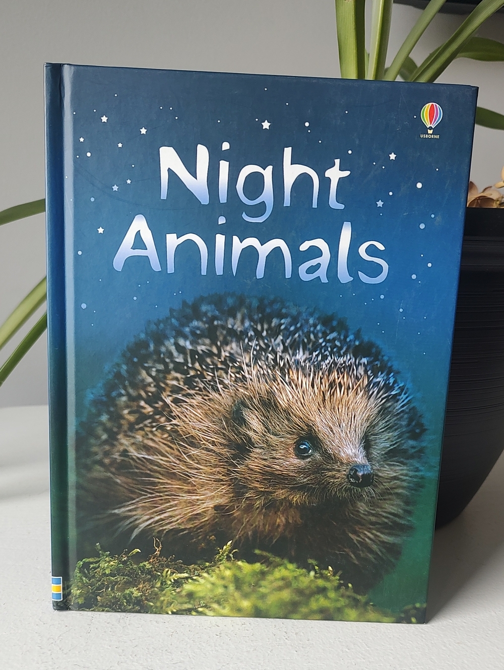 Usborne Beginners Hardcover Night Animals Book